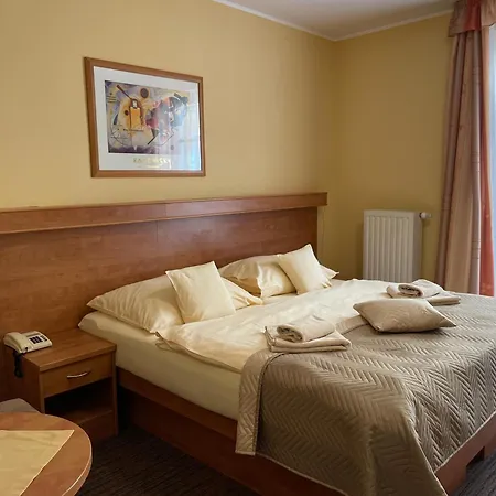 Otel Ld Palace & Kur Františkovy Lázně
