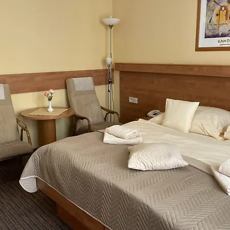 Hotel Ld Palace & Kur