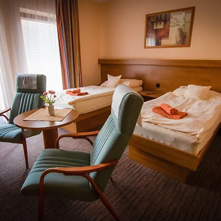 Ld Palace & Kur Františkovy Lázně