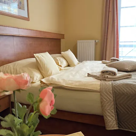 Hotel Ld Palace & Kur Františkovy Lázně