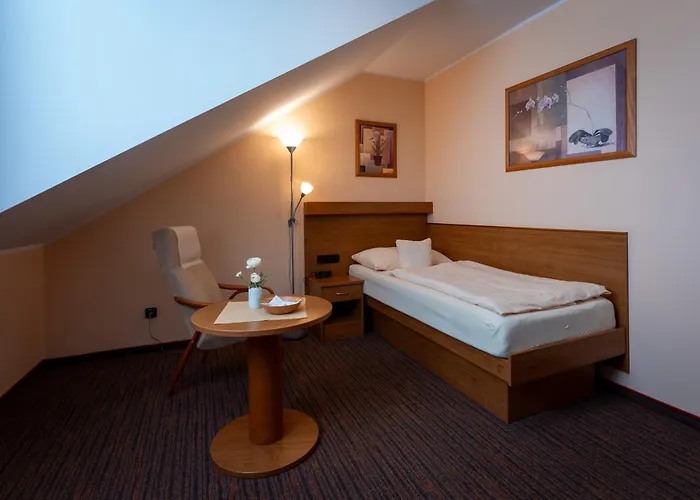 Hotel Ld Palace & Kur