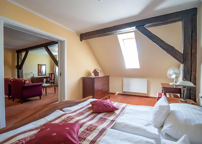 Hotel Ld Palace & Kur Františkovy Lázně